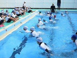 IMG_8729.jpg