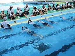 IMG_8731.jpg