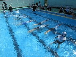 IMG_8732.jpg