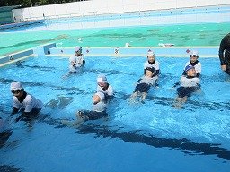 IMG_8734.jpg