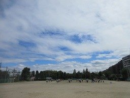 IMG_8894.jpg