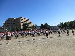 IMG_8905.jpg