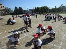 IMG_8906.jpg