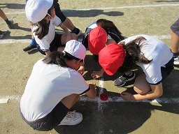 IMG_8907.jpg