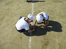 IMG_8908.jpg