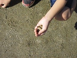 IMG_8910.jpg
