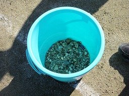 IMG_8913.jpg