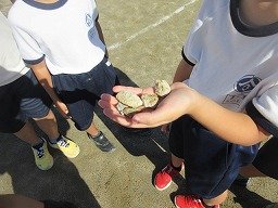 IMG_8914.jpg