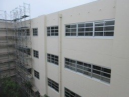 IMG_8930.jpg