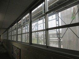 IMG_8931.jpg