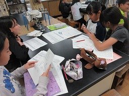 IMG_8944.jpg