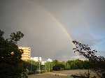 20101101-2.jpg