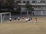 CIMG2749.jpg