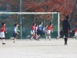 DSCN6239.jpg