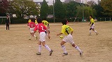 DSC_0098.jpg