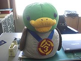 CIMG0275.jpg