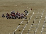 CIMG0497.jpg