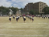 CIMG1602.jpg