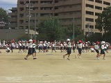 CIMG1609.jpg