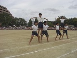 CIMG1667.jpg