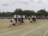 CIMG1679.jpg