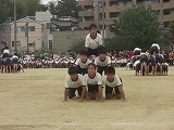 CIMG1695.jpg