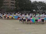 CIMG3217.jpg