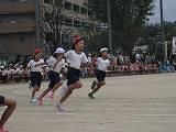 IMG_0367.jpg