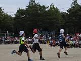 IMG_0378.jpg