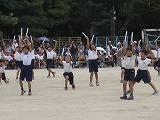 IMG_0385.jpg