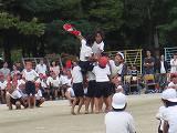 IMG_0437.jpg