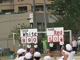 IMG_0451.jpg