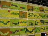 IMG_1155.jpg