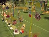 IMG_1159.jpg
