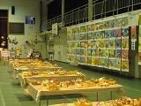 IMG_1178.jpg