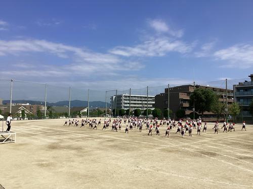 IMG_0022.jpeg