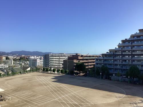 IMG_0029.jpeg