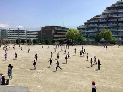 IMG_0502.jpeg