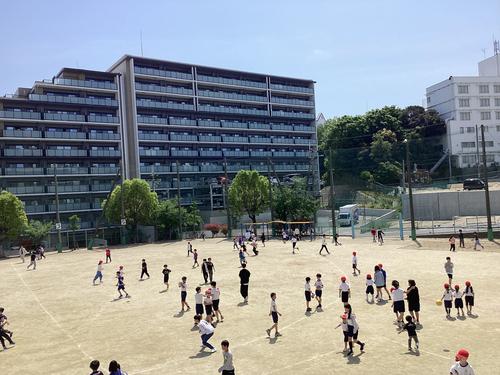 IMG_0503.jpeg