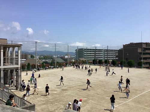 IMG_0504.jpeg