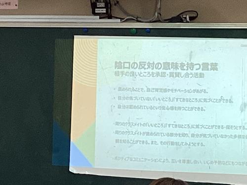 IMG_0705.jpeg