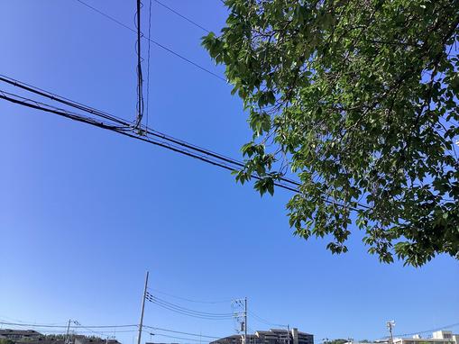 IMG_0795.jpeg