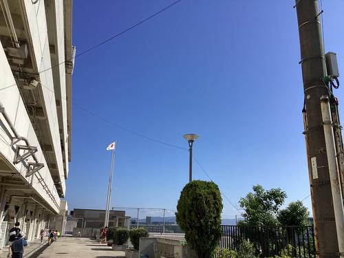 IMG_0796.jpeg