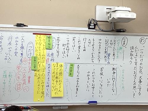 IMG_0919.jpeg