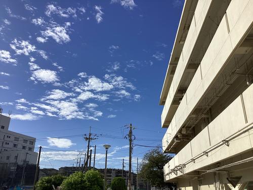 IMG_0967.jpeg