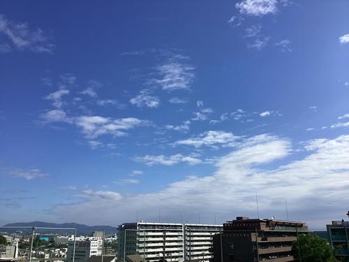 IMG_1037.jpeg