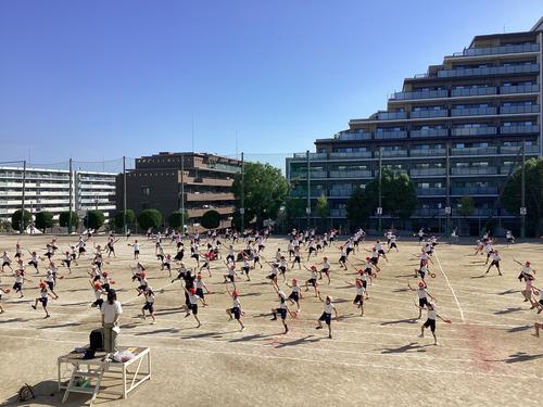 IMG_1062.jpeg