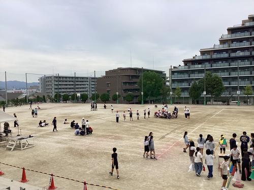 IMG_1074.jpeg