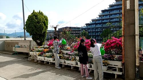 20250507_081720196.jpg