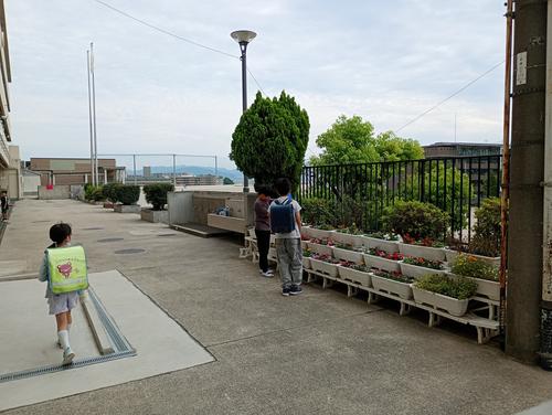 IMG_20250612_081047489_MFNR.jpg